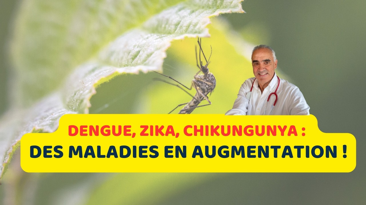 DENGUE, ZIKA, CHIKUNGUNYA : DES MALADIES EN AUGMENTATION !