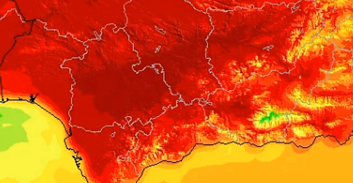 Canicule : 75 départements toujours en alerte orange, la chaleur monte jusqu’à 40°C en Île-de-France